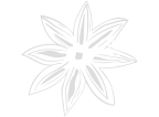 Animation leaf 1